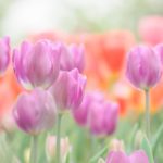 振り回す女の人に巻き込まれないコツ