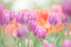 振り回す女の人に巻き込まれないコツ