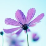 潜在意識の書き換えをすると、眠い理由とは!