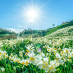 直感を信じる行動をしたのに、うまくいかないときの理由