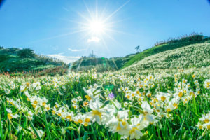 直感を信じる行動をしたのに、うまくいかないときの理由