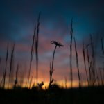 メンタルを強くする方法。習慣と継続が大事