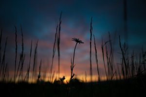 メンタルを強くする方法。習慣と継続が大事