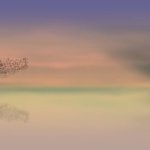 シータヒーリングは怪しいと思う人と効果の出る人の違い